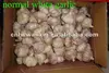 /product-detail/ajo-chino-garlic-china-591367234.html