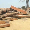 Mussivi/Mussibi squared logs from Angola with low price, Debarked square logs, Mussivi sawn lumber/ Mussivi square logs