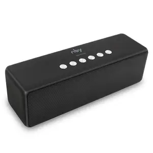 Portable Speaker Echo Dot Alexa
