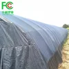 Best selling agaricus bisporus growing net mushroom planting net mushroom cultivation nets greenhouse