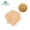 Natural Vegetable Protein Isolated Soy Protein Powder With High Quality
