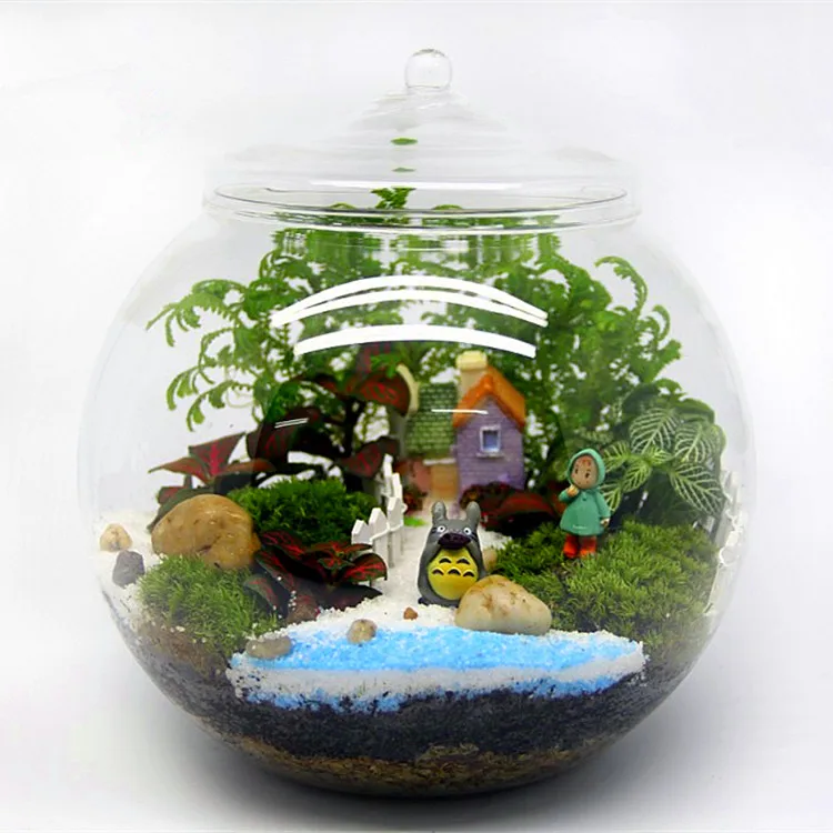 
Hot selling wholesale indoor plant glass terrarium with glass cap  (60770265989)
