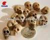 Vivid Skeleton, Skull, Resin Skeleton, different kinds skull figure,
