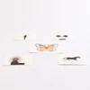 DIY Moving Pattern Educational Toy Science Kit