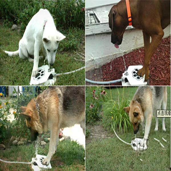 Dog Automatic Feeders Dog Drinking Fountain Styles As Pawcet For Dogs