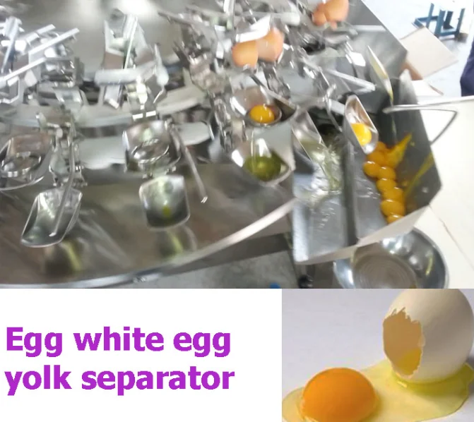 Egg White Separator Machine / Egg Breaking Equipment /egg Yolk