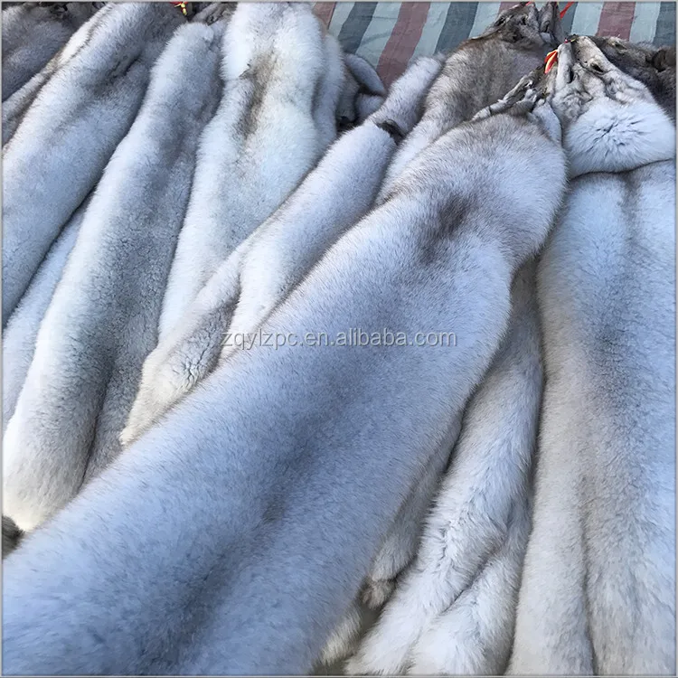 Fox skin04.jpg