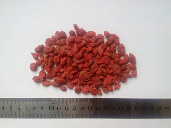 organic goji 3