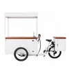 /product-detail/new-design-italian-solar-ice-cream-tricycle-sale-with-freezer-62175321607.html