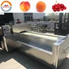Automatic cherry pitter machine auto cherries seed removing equipment good price for sale