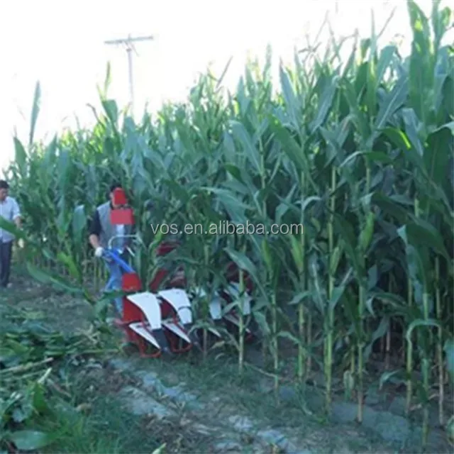 corn repaer  (1)
