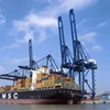 Rotterdam sea freight rates roma riser video express card
