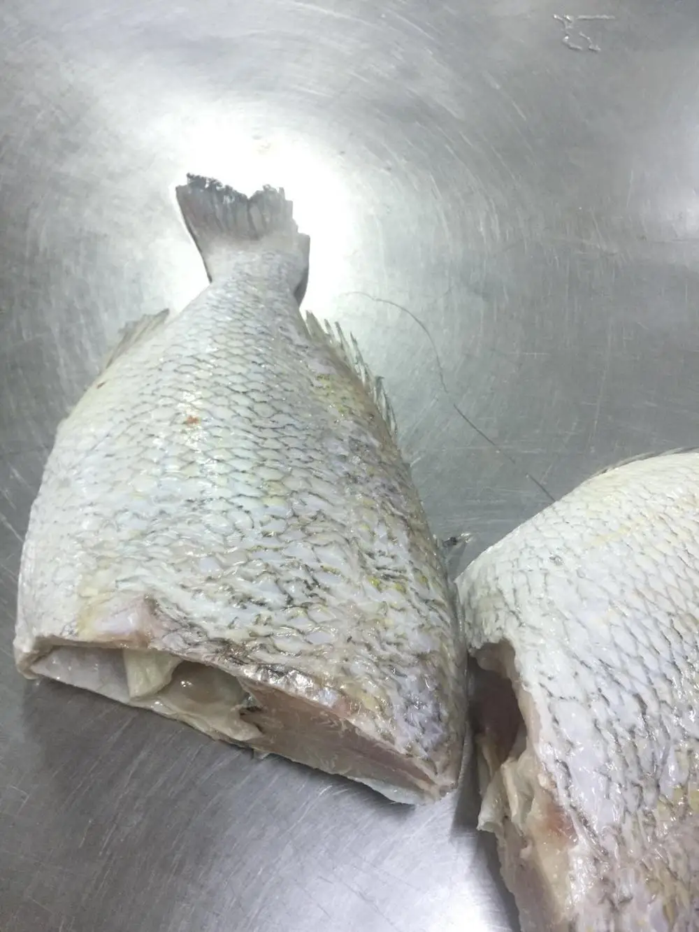 
FROZEN Emperor fish 