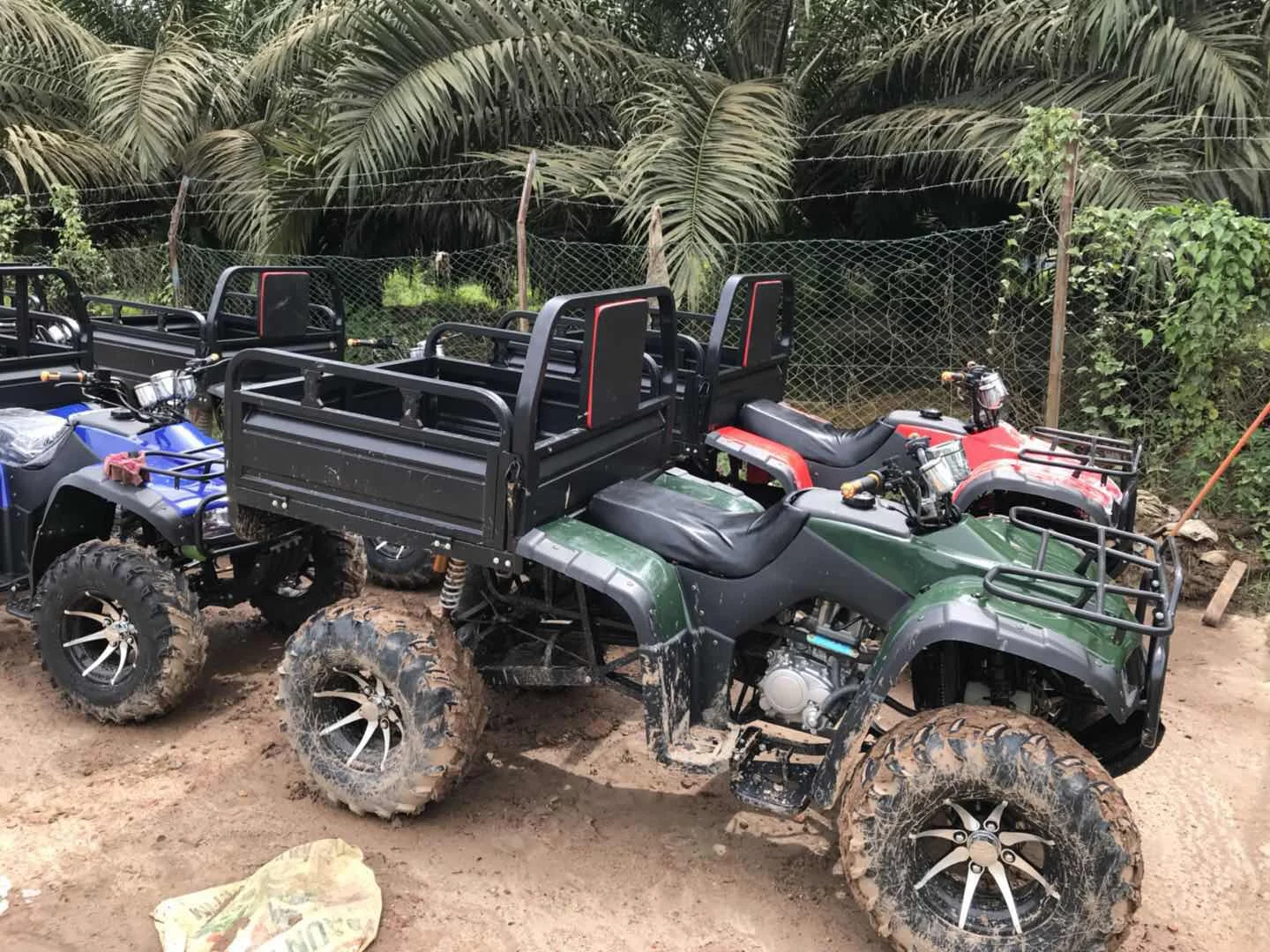 Customer Show (3).jpg