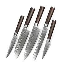 

5 pcs professional Japanese VG10 Damascus steel kitchen knife set
