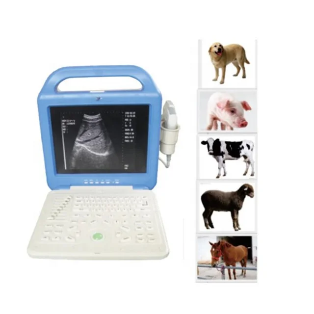 Animal Ultrasound