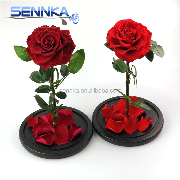 For Ture Love Dubai Fresh Flower Importers Everlasting Roses Preserved