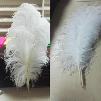 large white ostrich feathers