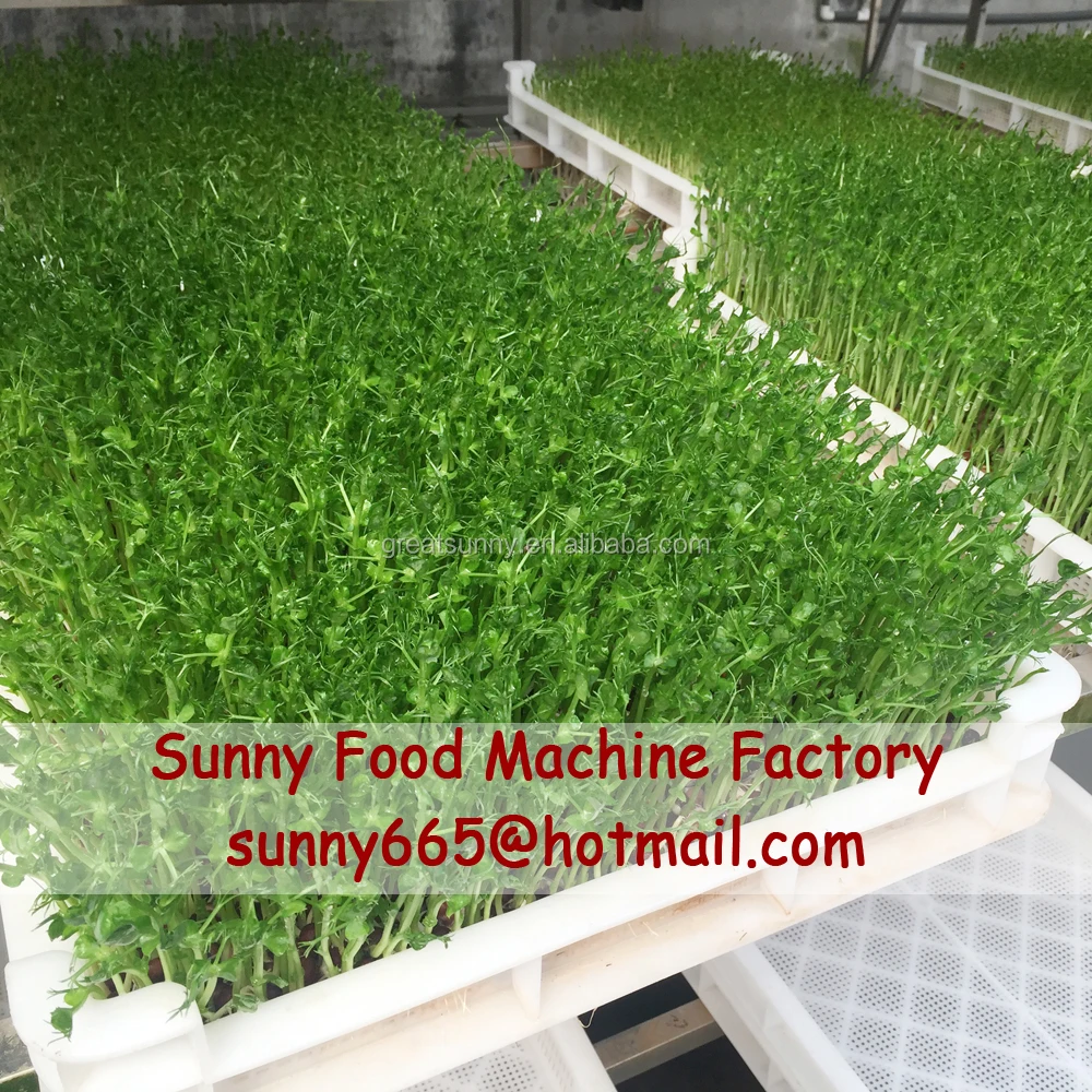 
Growing/sprout machine of seeds large capacity barley malt machine /hydroponic fodder machine(Radish red machine) 