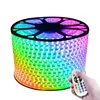 AC110V 220V Waterproof IP67 SMD 5050 RGB Color Running Changing Led Strip Light