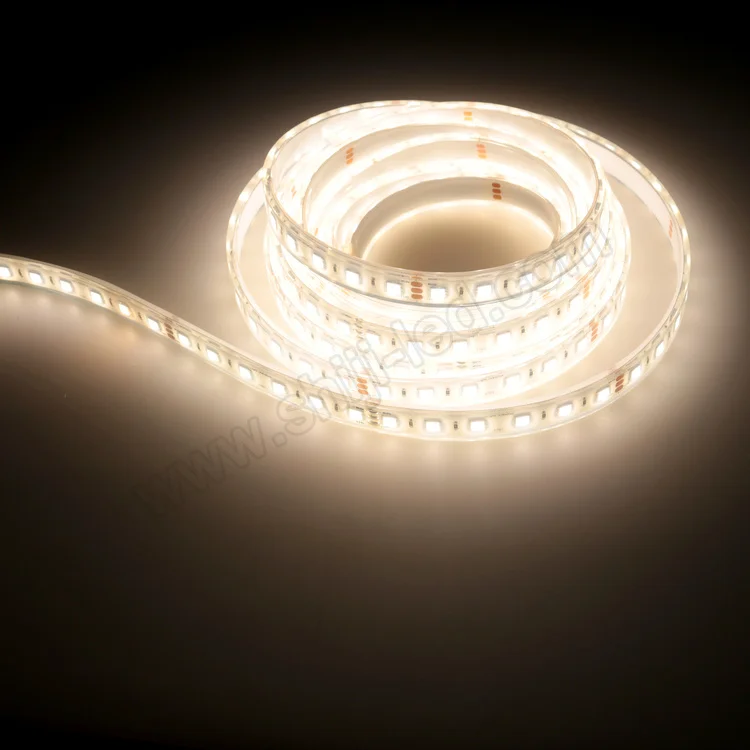 DC12V  warm and white color LED Strip Light SMD 5050 Waterproof Wireless 60 LED Flexible Strip with Remote Controller and power