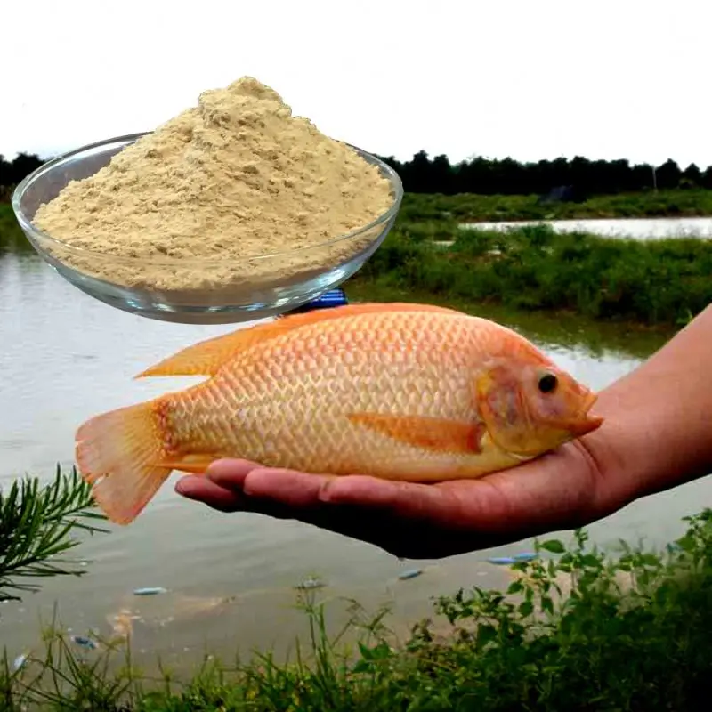 
Probiotics for fish culture , to remove Nitrate 
