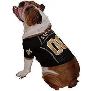 saints pet jersey