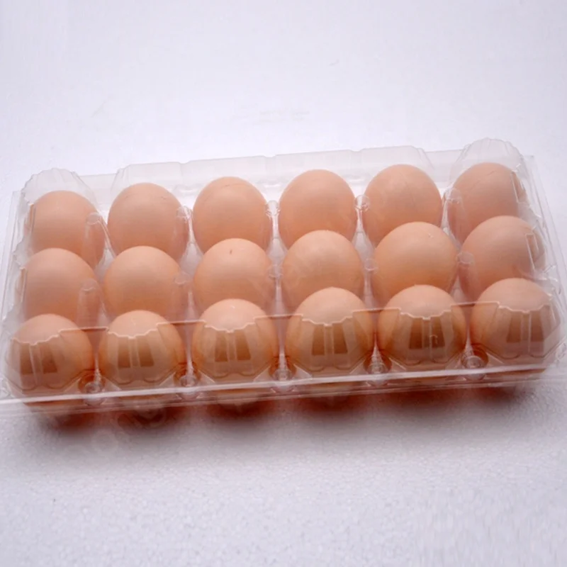 En gros en plastique d'oeufs de poulet cartons boîte d'emballage en plastique à vendre