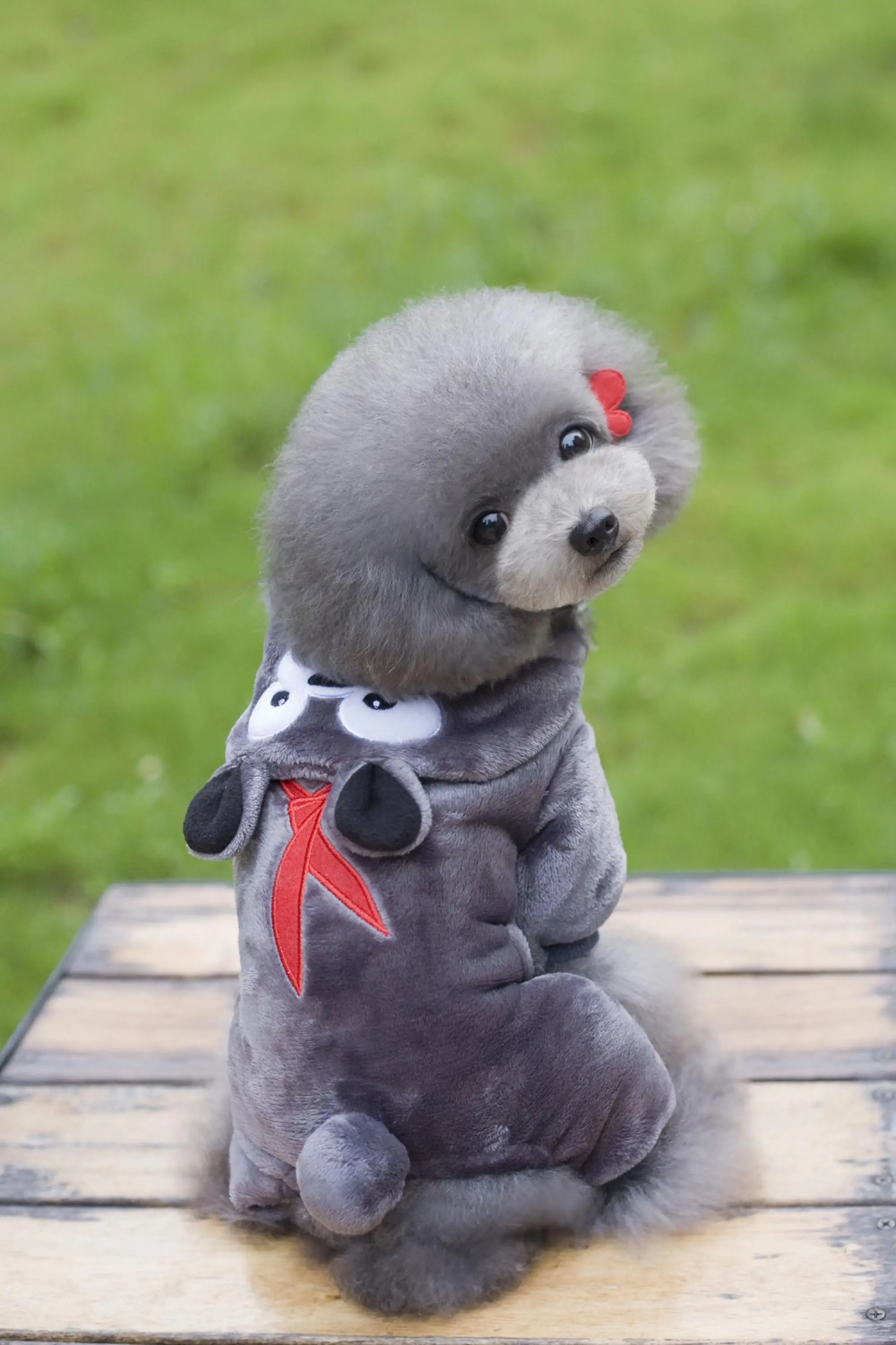 High Quanlity Duffy Bear Display Pet Clothes