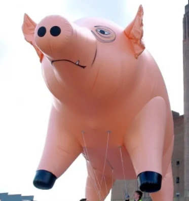 pig helium balloon