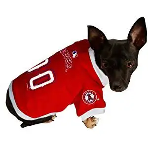 pet angels jersey