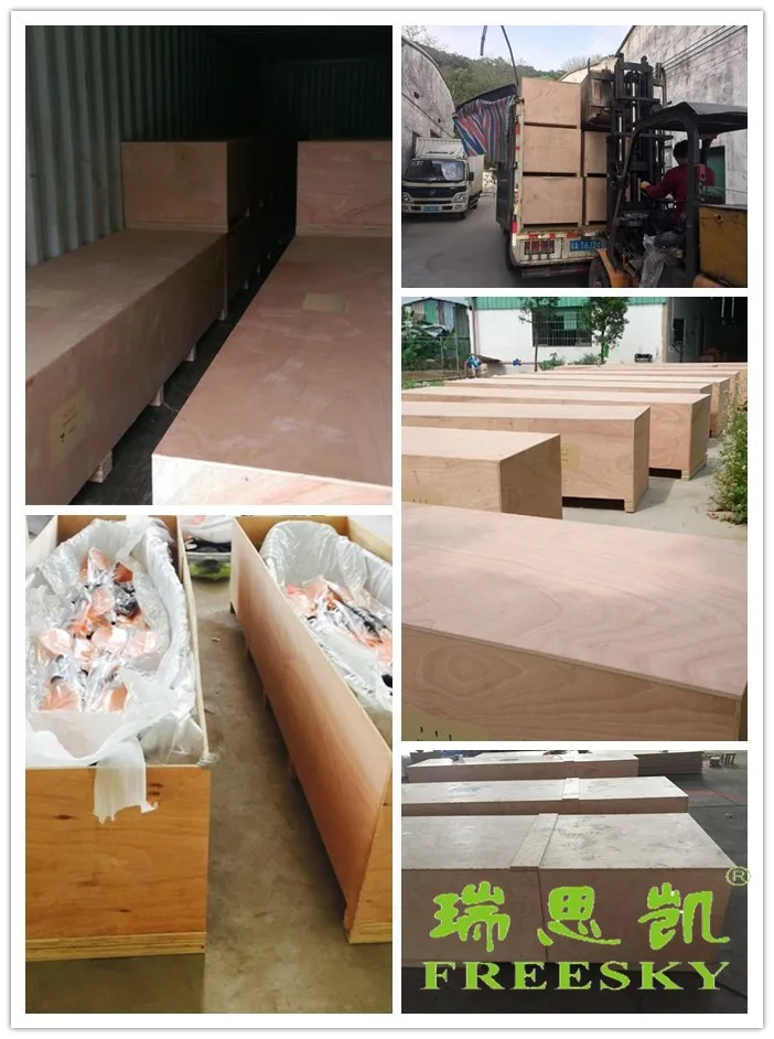 double seat pedal plastic 2 person transparent clear fishing kayak With Accessories 