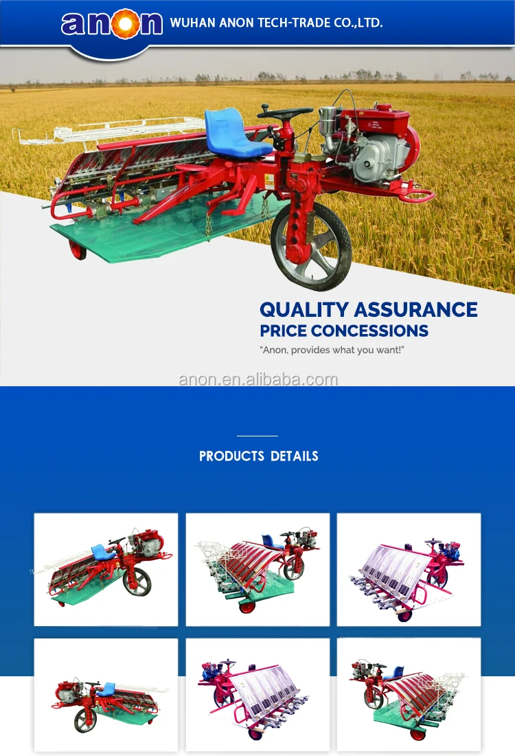 Anon 6 Rows Grain Seed Drill Wheat Rice Sesame Seed Planter For Tractor