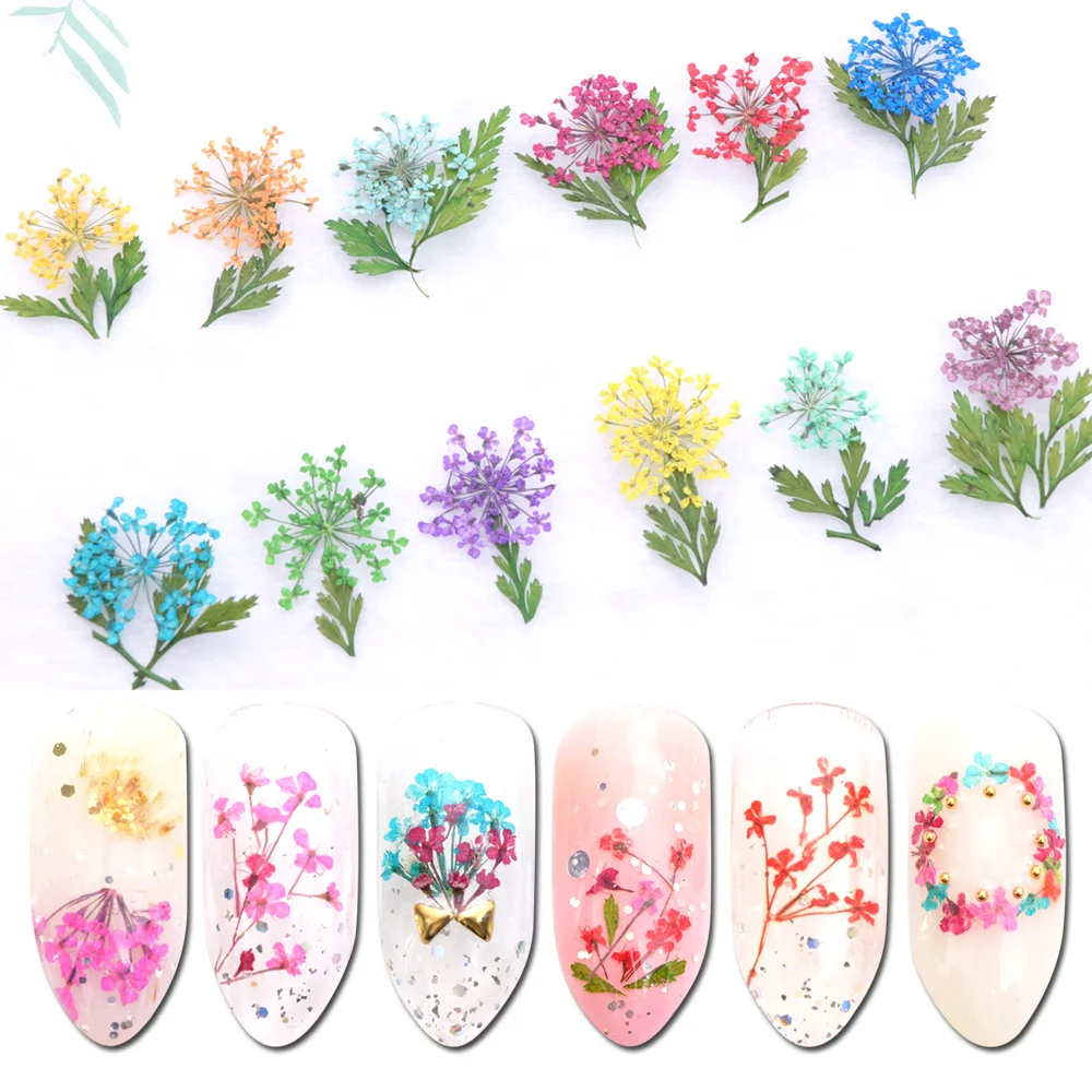 Grossiste Fleur Séchée Nail Art Acheter Les Meilleurs Fleur