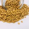 china supplier pp/pe/abs/pet/pa plastic Masterbatch