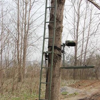 ladder tree stands