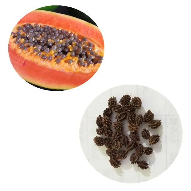 Семена Папайи Купить В Аптеке