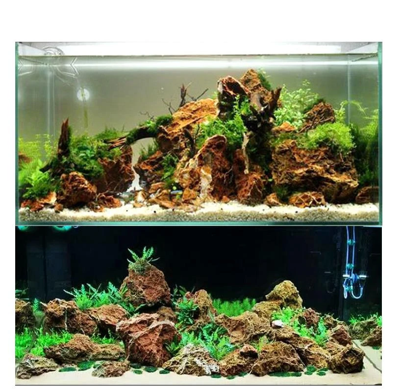 large coral stone fish tank