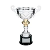 China Custom high quality new creative design trophy metal cup award champion trophies