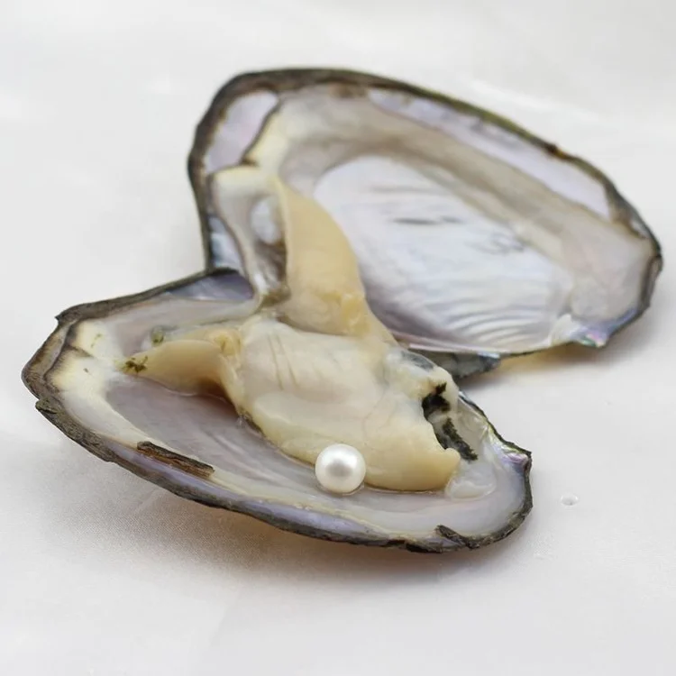 wholesale high quality freshwater oyster 8-9mm seed pearl oysters with pearls inside
