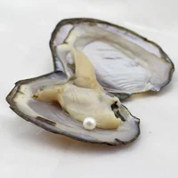 

wholesale high quality freshwater oyster 8-9mm seed pearl oysters with pearls inside
