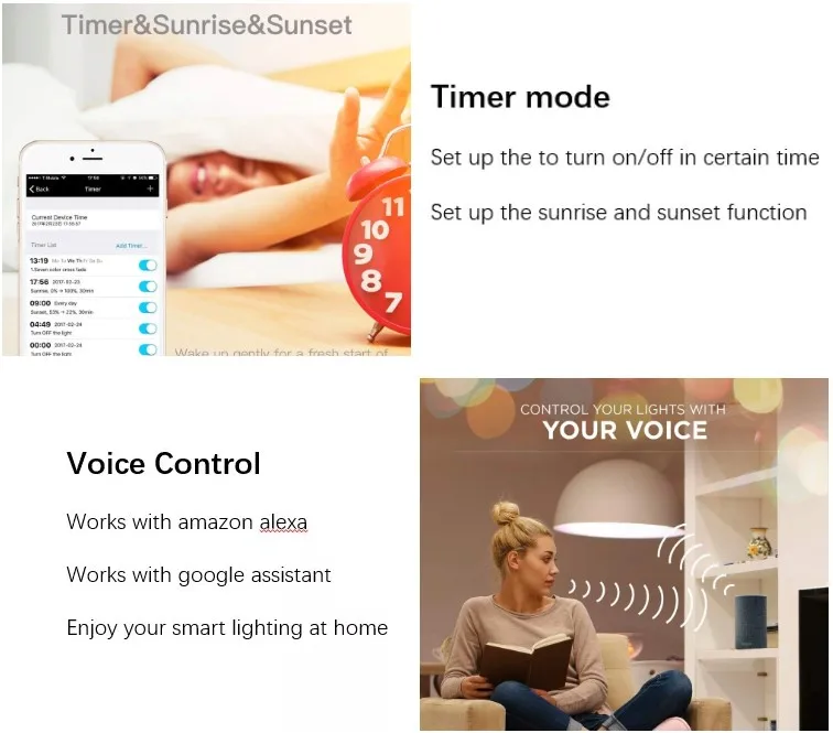 Voice control and Timer.JPG