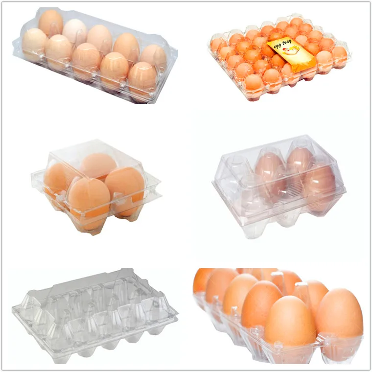 Hot Sale Clear Pet Plastic Egg Tray For Packing Eggs Buy Egg Tray,Pet