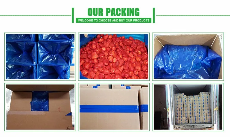 China Products IQF Fruit Frozen Strawberry