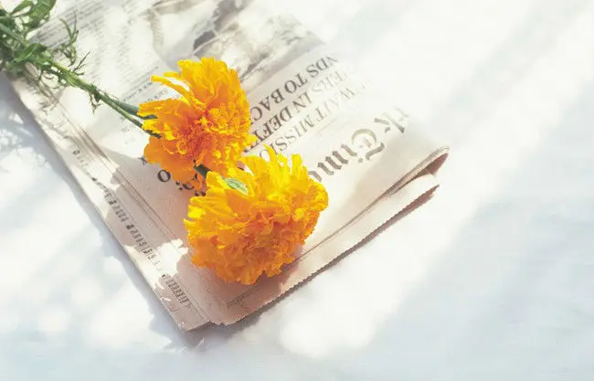 China provides the high quality low price 100% wood pulp newsprint