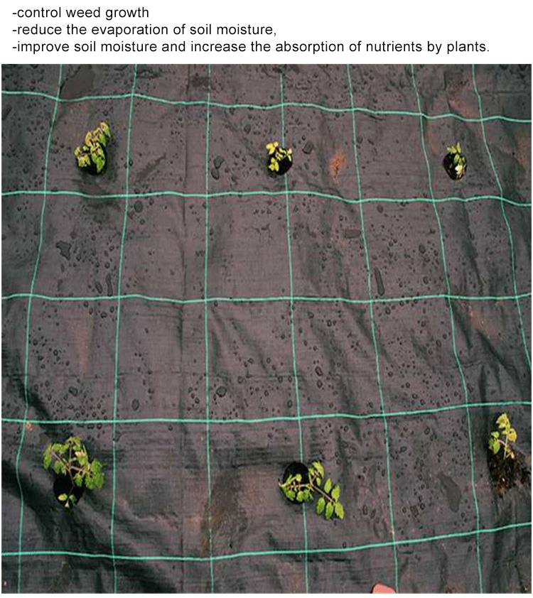 Hot Selling Pp Plastic Ground Cover Mesh Fabric For Horticulture Use