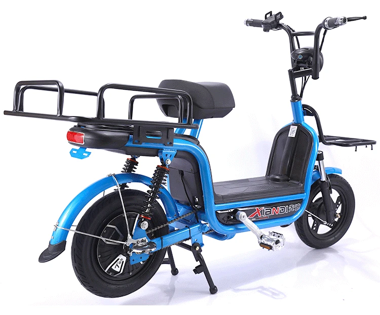 electric cycle with carrier