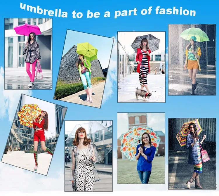 company information.jpg