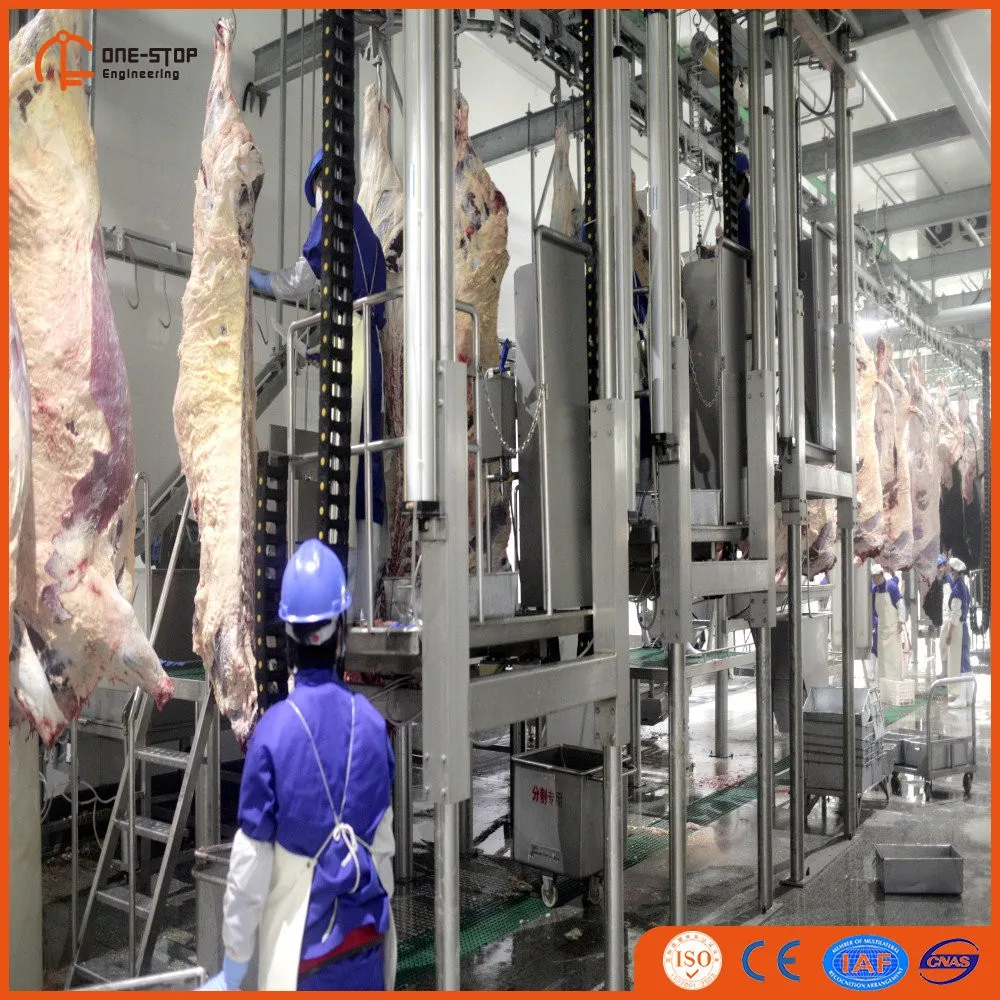 New Complete Halal Sheep Slaughtering Line Equipment For Goat Lamb ...