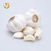 fresh chinese garlic on hot selling in a low price Garlic cost/buy garlic online